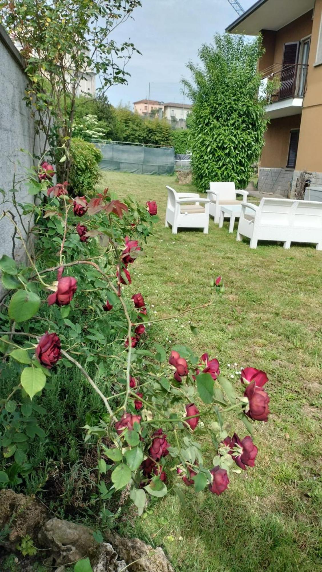 Casa Vacanze Mari, Paratico Exterior photo